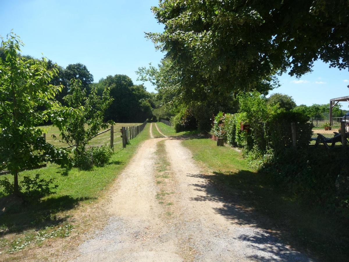 Chambre D'Hote En Vallee Du Loir - Elevage Des Rosiers Bazouges-sur-le-Loir Exteriér fotografie